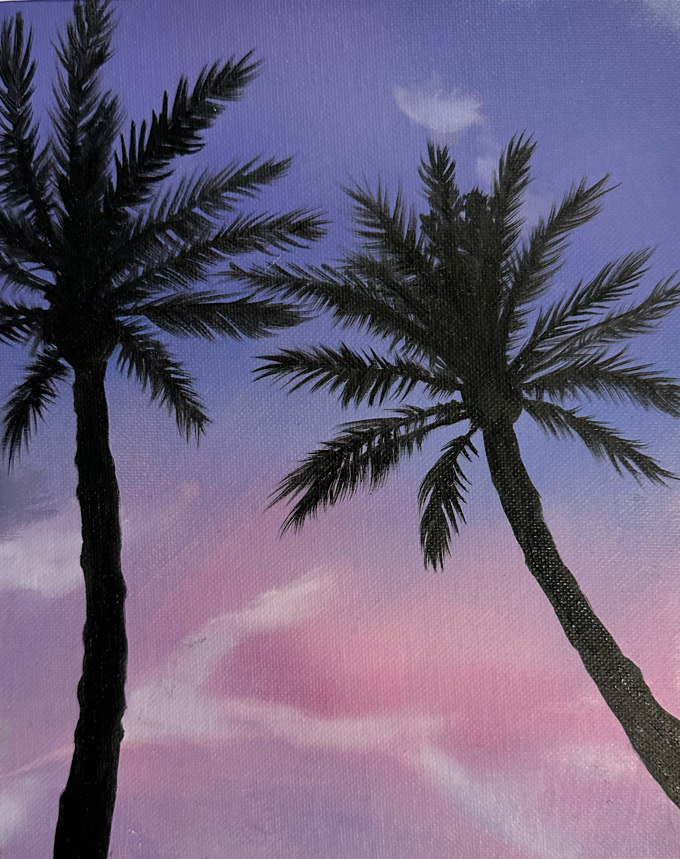 Palm Sunset